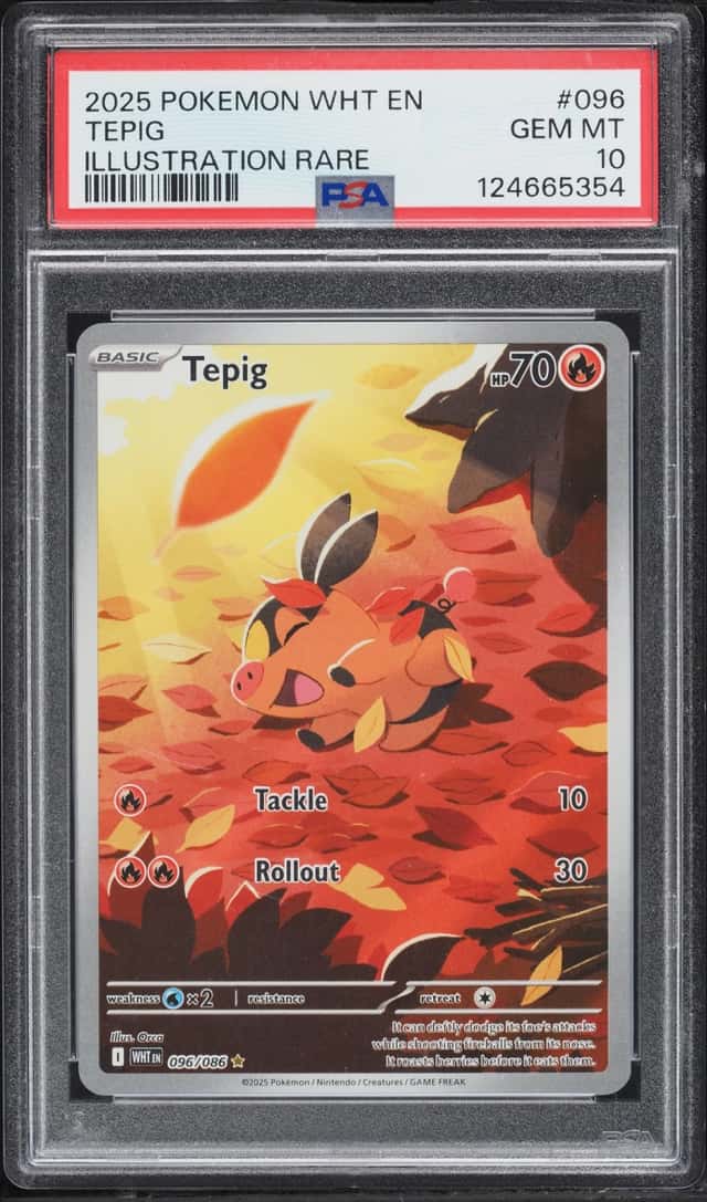 Tepig