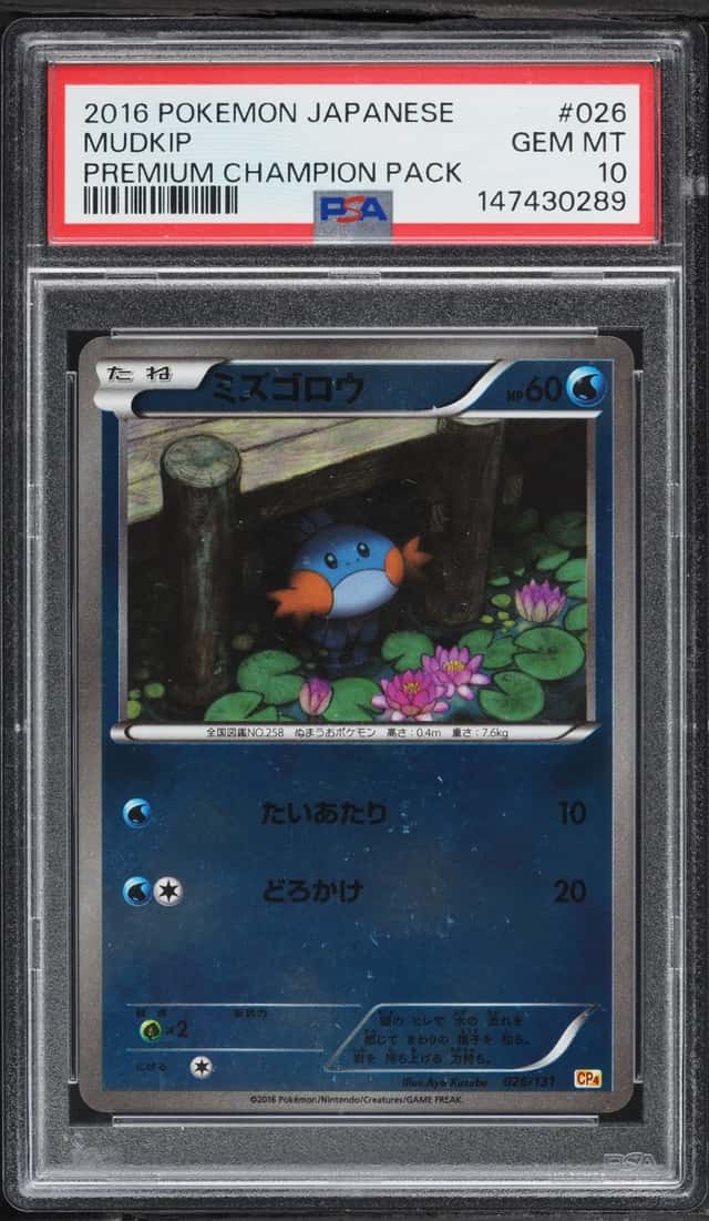Mudkip