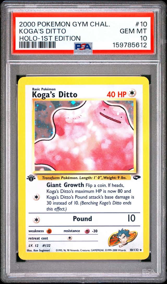 Koga's Ditto