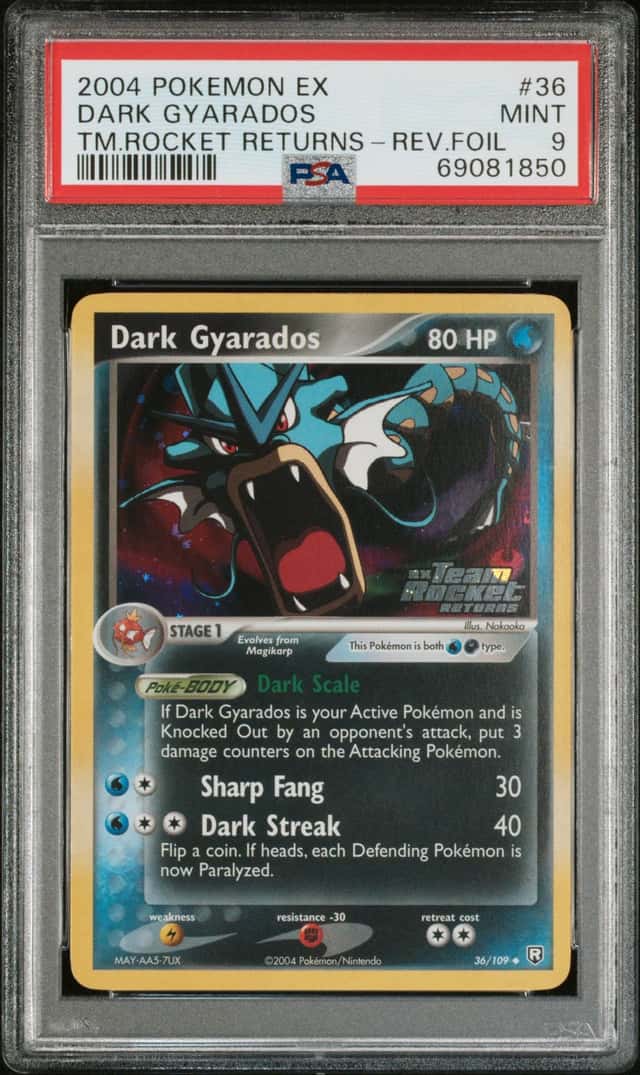 Dark Gyarados