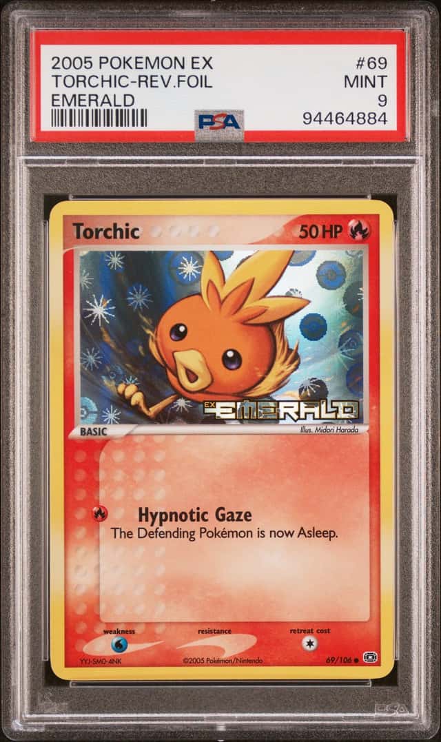 Torchic