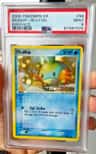 Mudkip