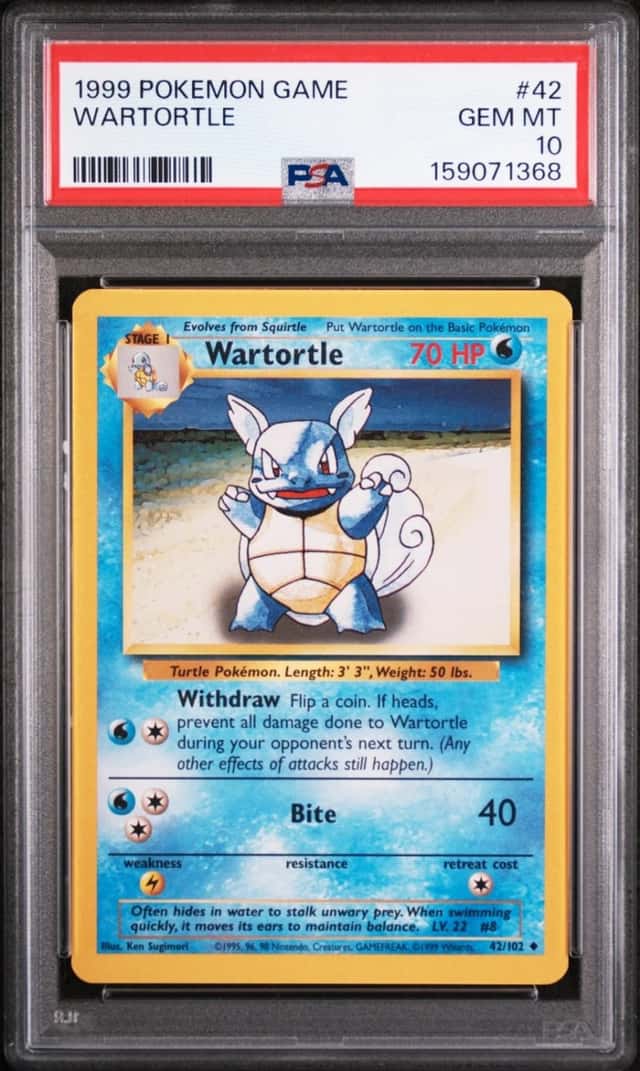 Wartortle