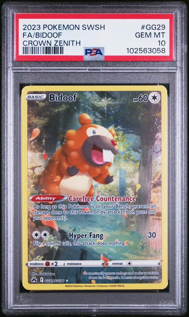 Bidoof