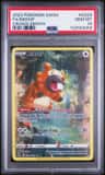 Bidoof