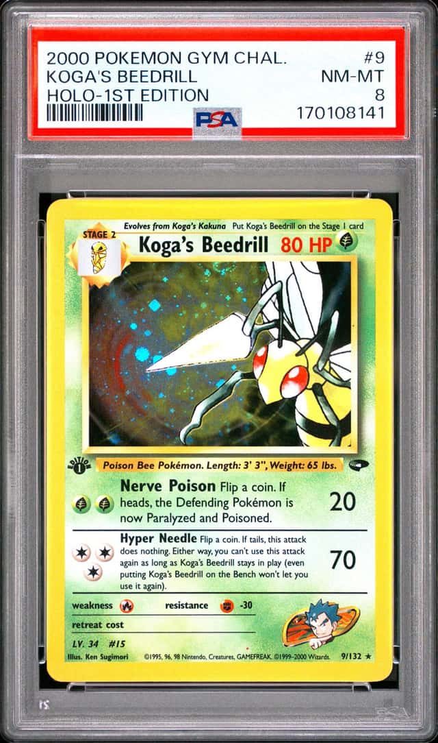 Koga's Beedrill