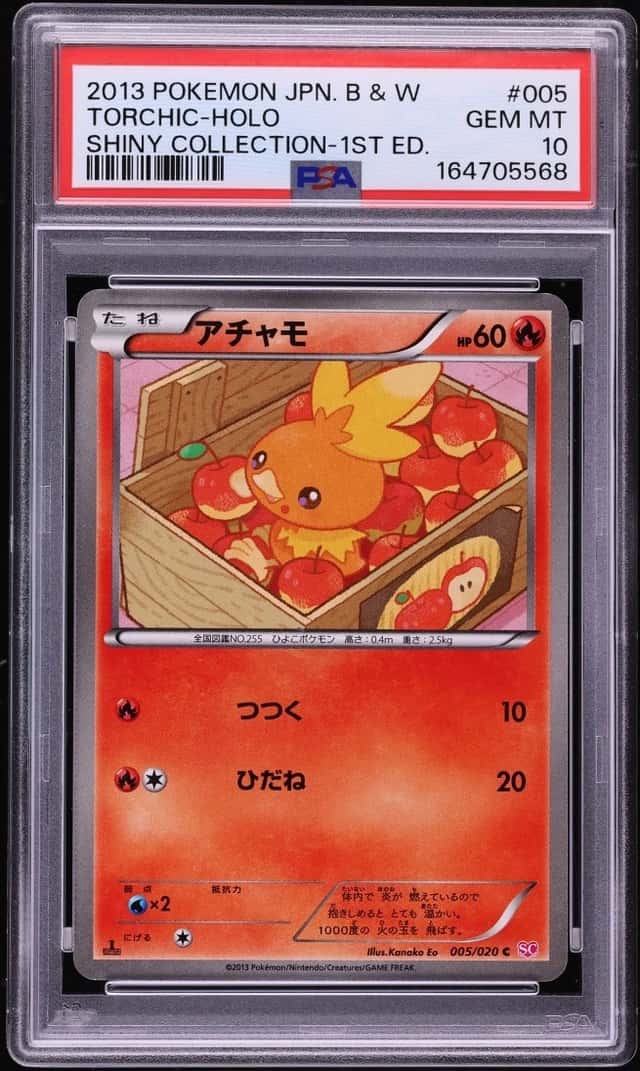 Torchic