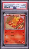 Torchic