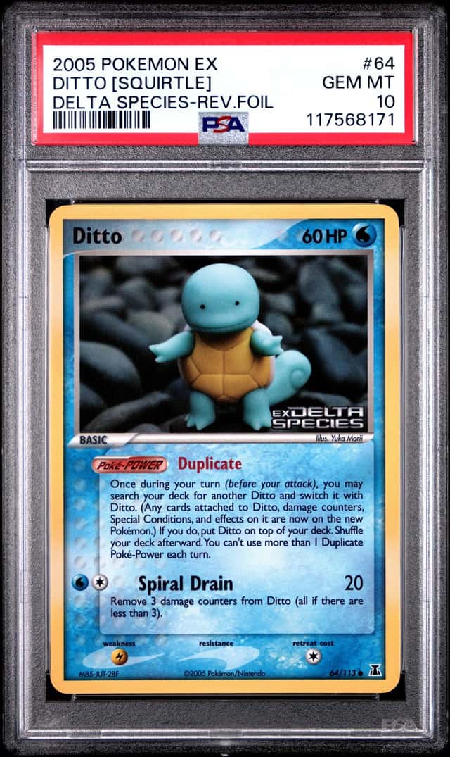 Ditto [Squirtle]