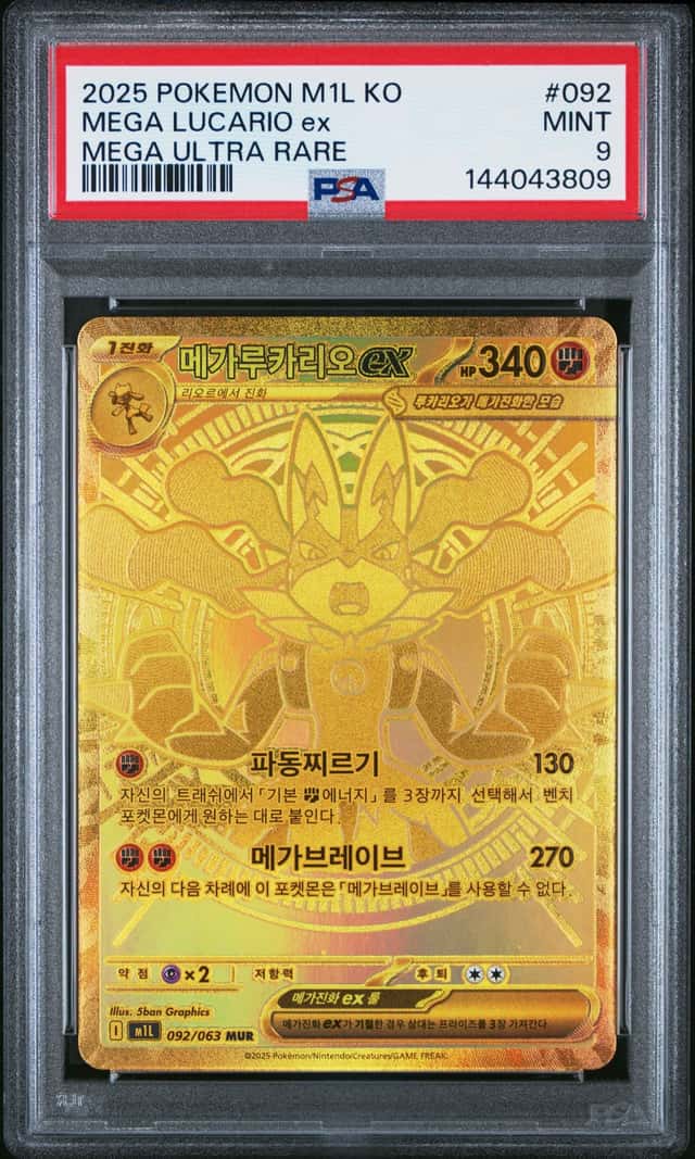 MEGA LUCARIO ex