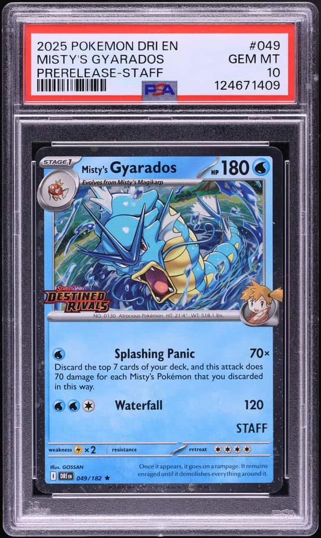 Misty's Gyarados