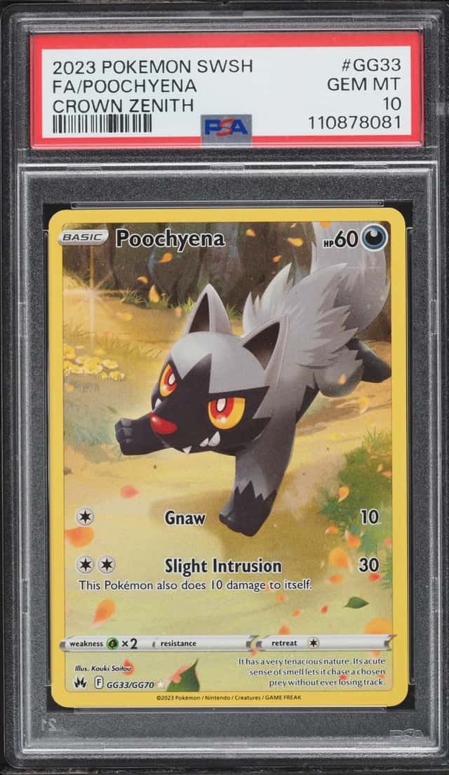 Poochyena