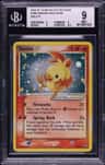 Torchic