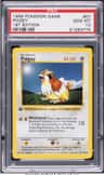 Pidgey