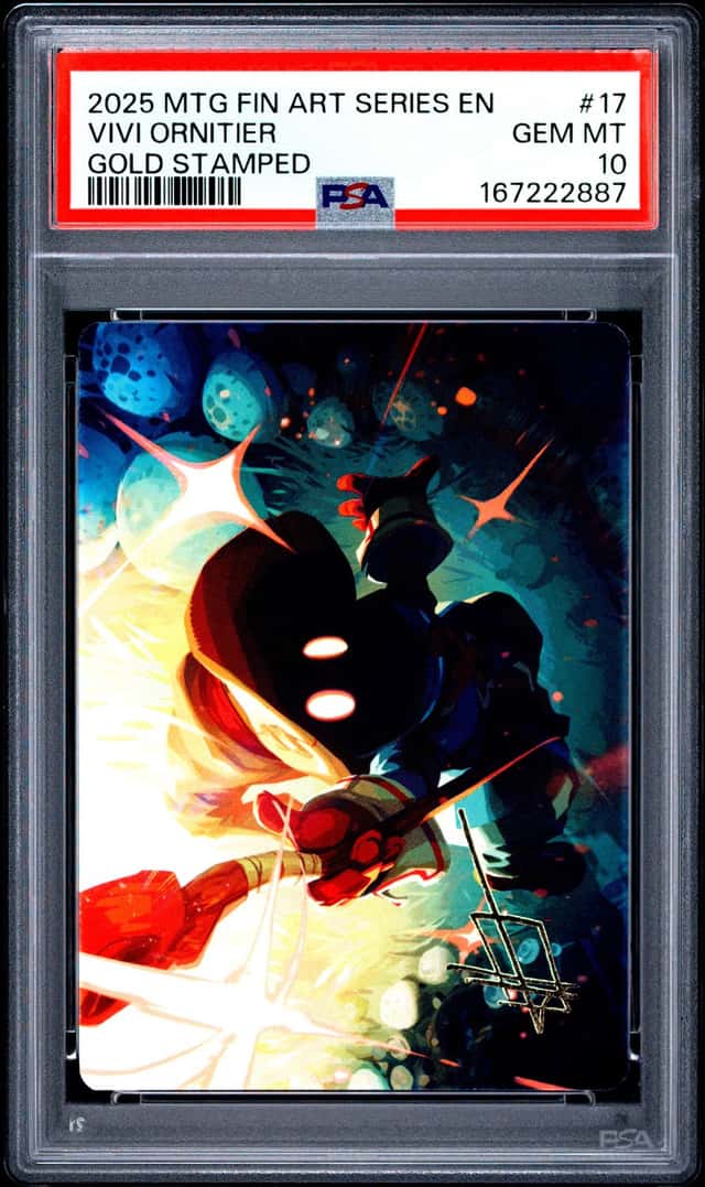 Vivi Ornitier