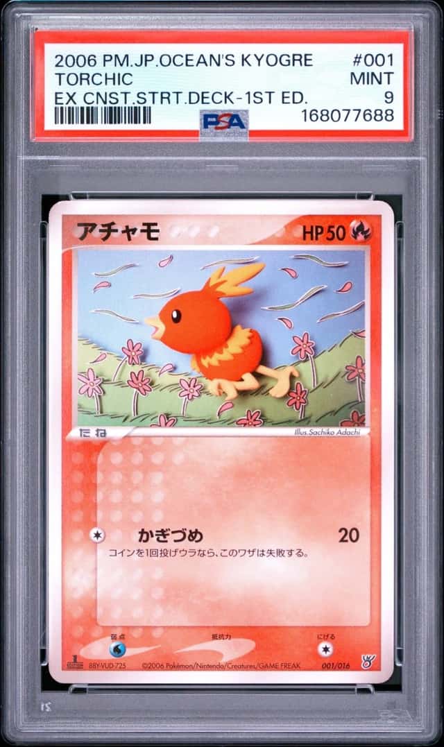 Torchic
