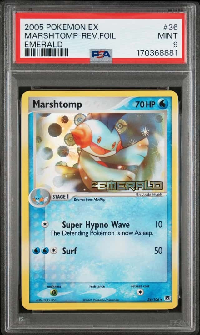 Marshtomp