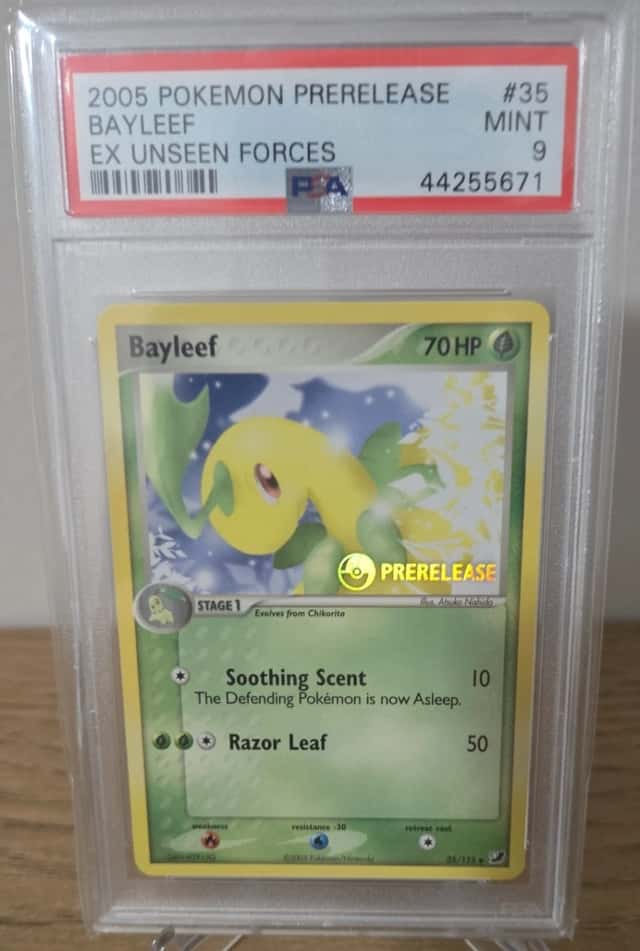 Bayleef