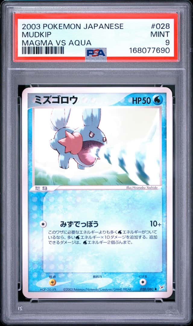 Mudkip