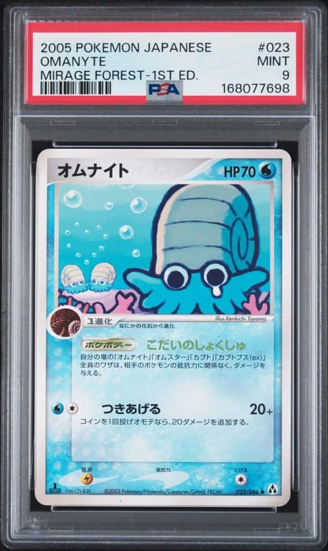 Omanyte