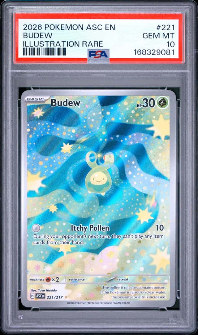 Budew
