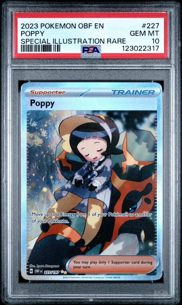 Poppy