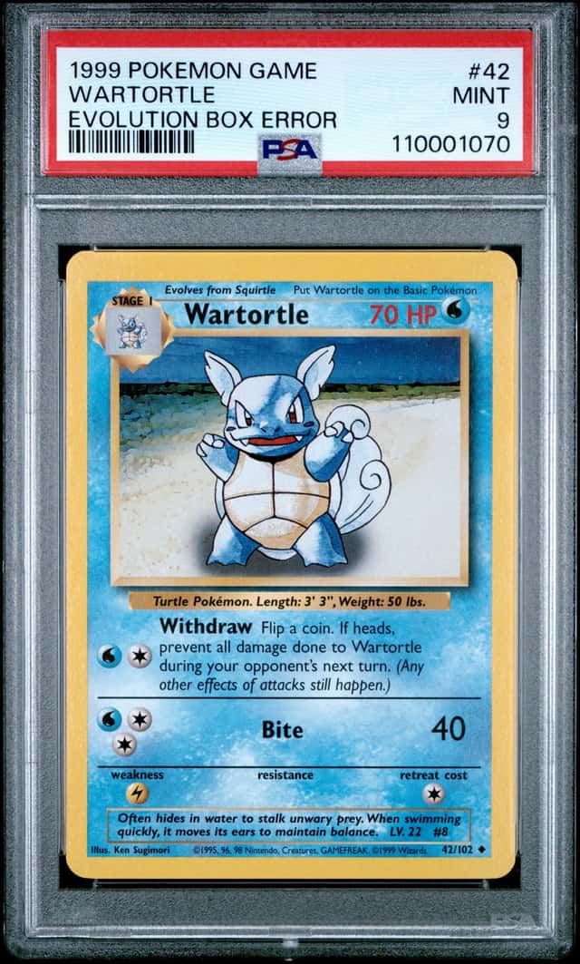 Wartortle