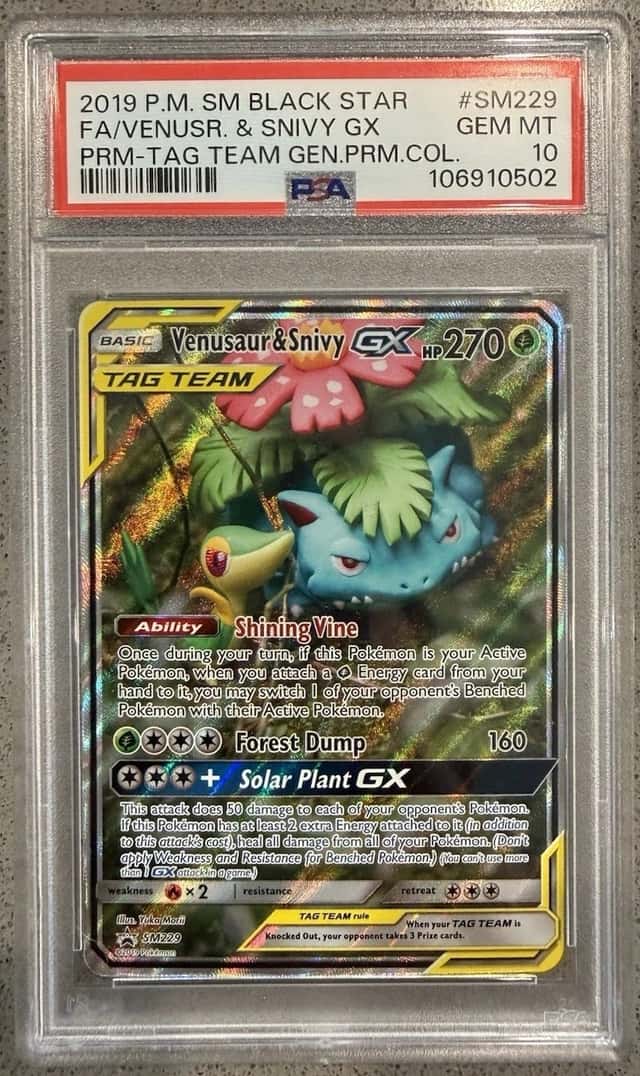 Venusaur & Snivy GX