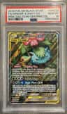 Venusaur & Snivy Gx