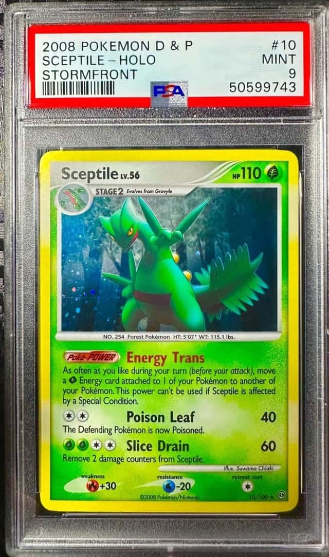 Sceptile