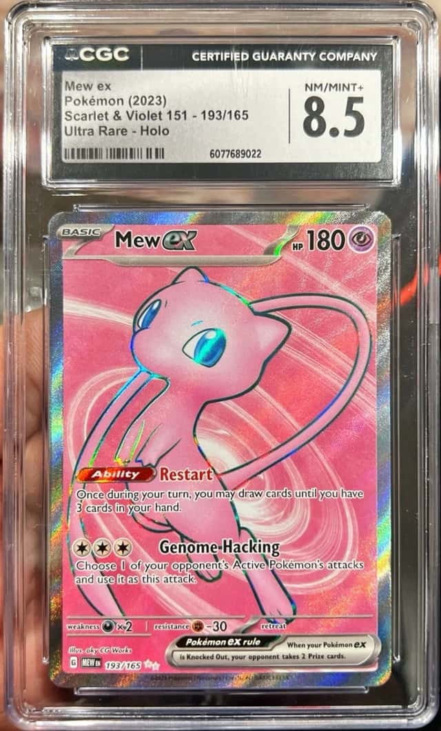 MEW ex