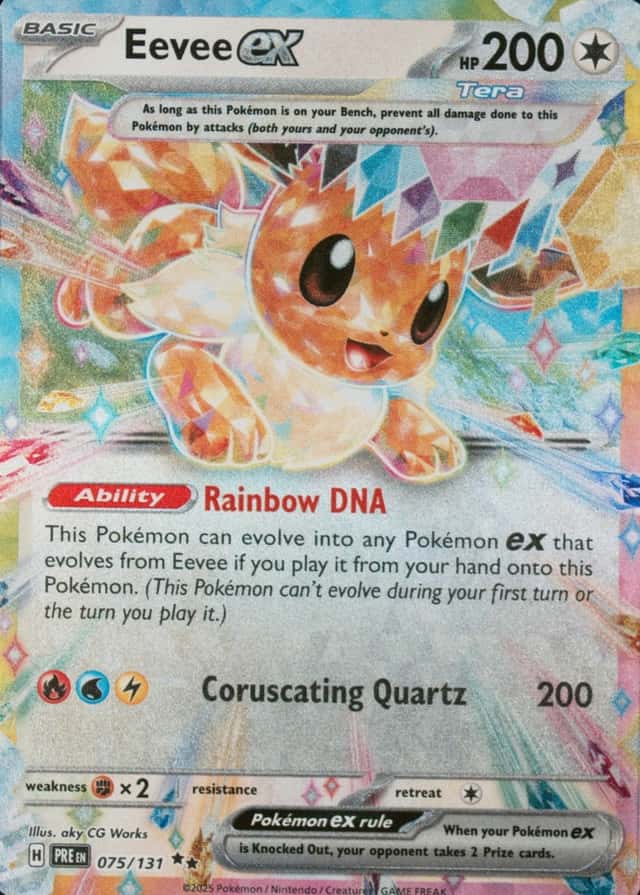 Holo