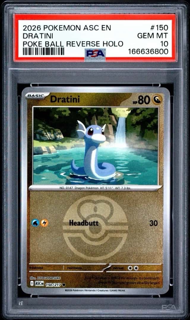 Dratini