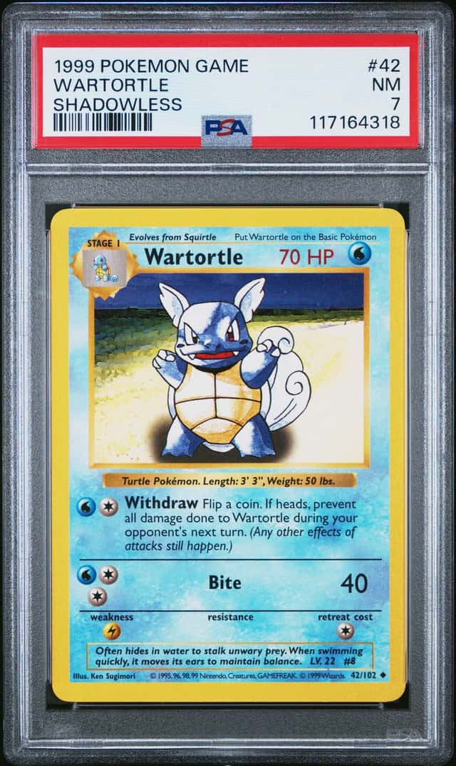 Wartortle
