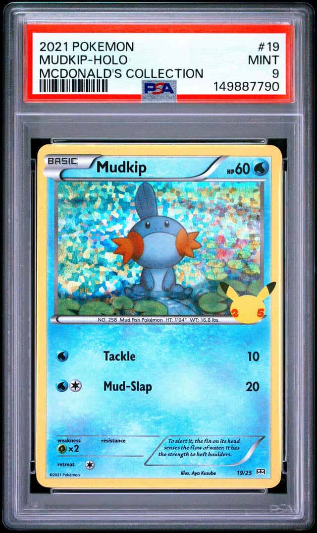 Mudkip