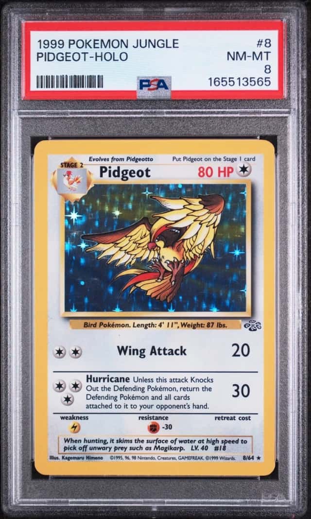 Pidgeot