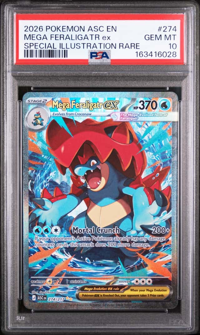 MEGA FERALIGATR ex