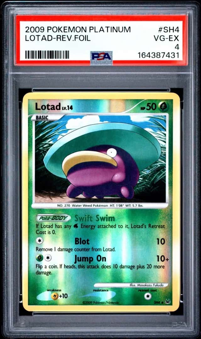 Lotad
