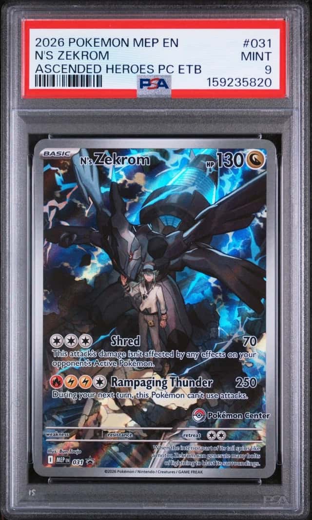 N's Zekrom