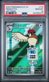 Pidgeotto