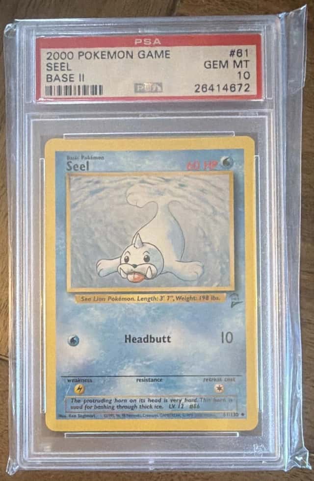Seel