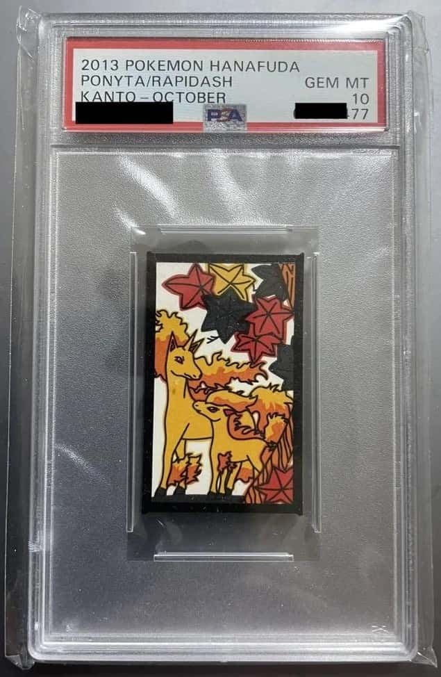 Ponyta/Rapidash