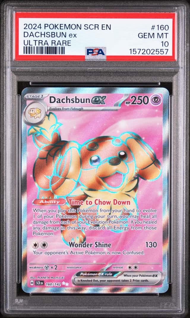 DACHSBUN ex