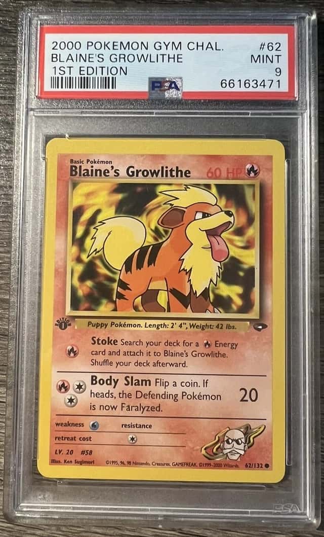 Blaine's Growlithe