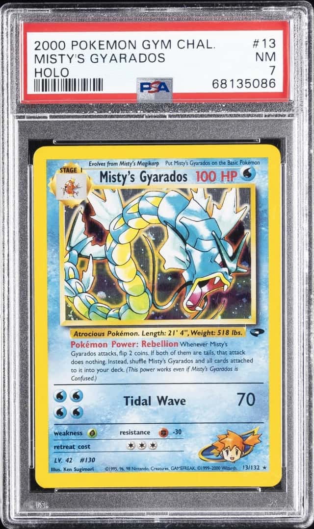 Misty's Gyarados