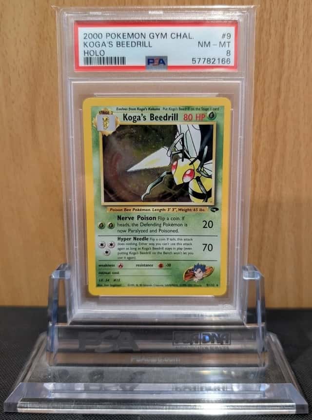 Koga's Beedrill