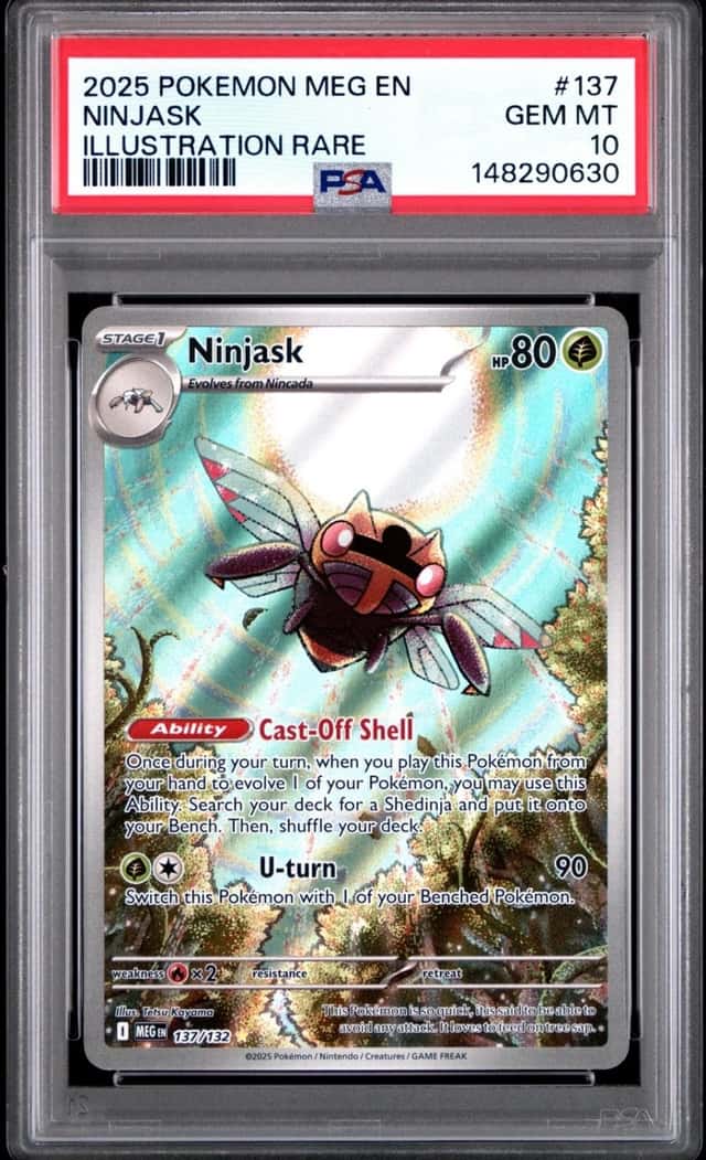 Ninjask