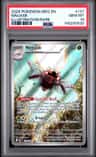 Ninjask