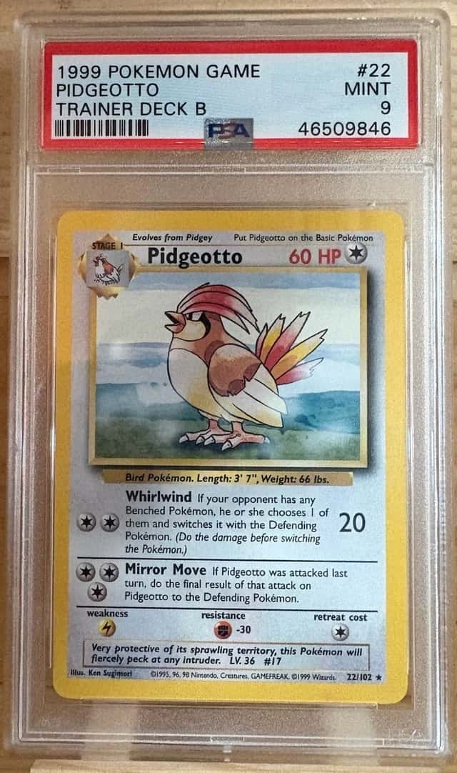 Pidgeotto