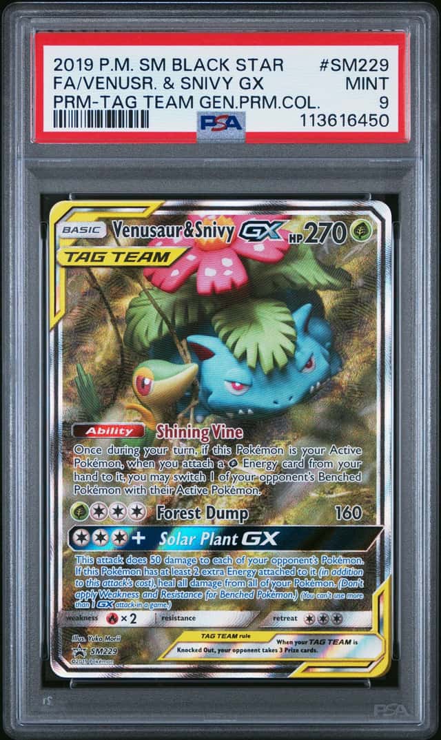 Venusaur & Snivy GX